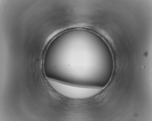 X0000092221316200709140913