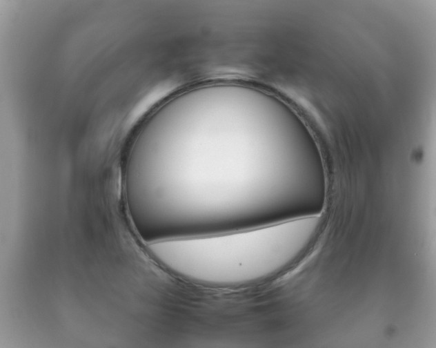 X0000092221317200709140913