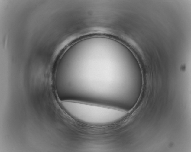 X0000092221318200709140913