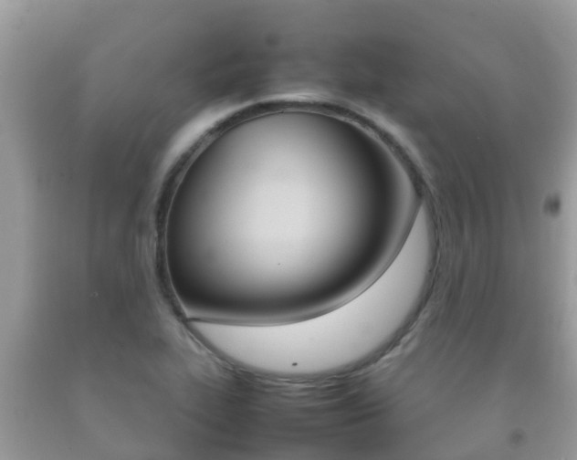 X0000092221319200709140913