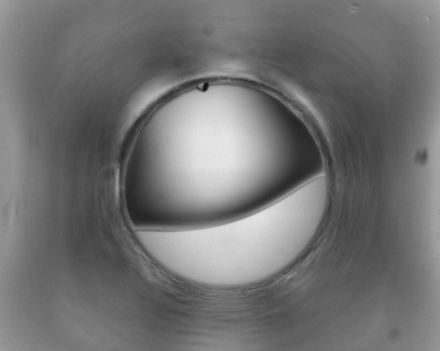 X0000092221320200709140913