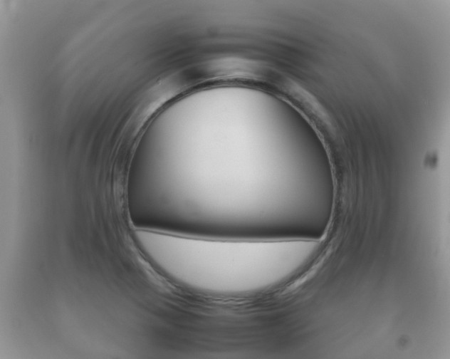 X0000092221321200709140913
