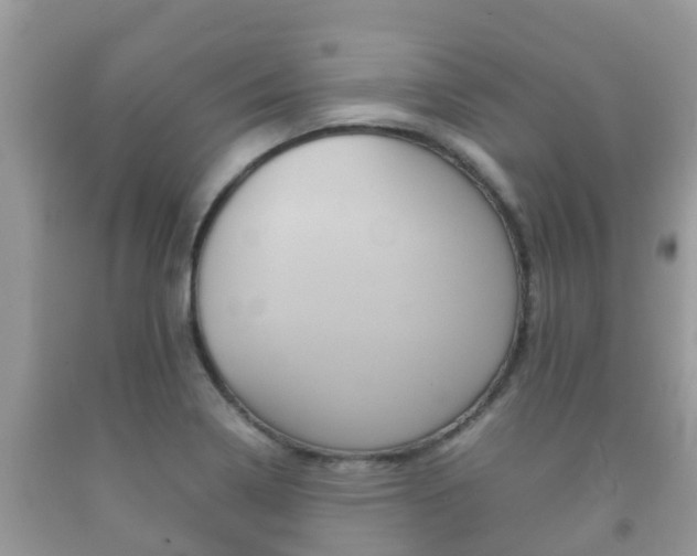 X0000092221322200709140913