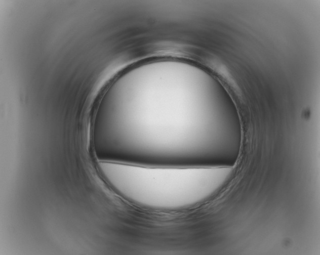 X0000092221323200709140913