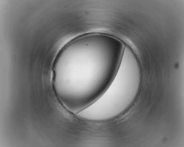 X0000092221324200709140913