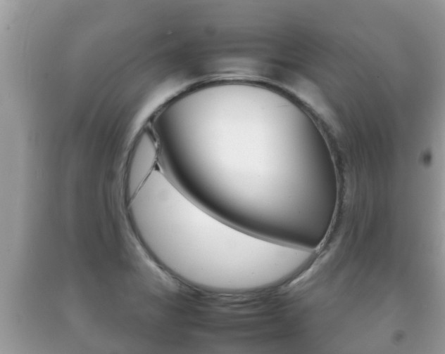 X0000092221325200709140913