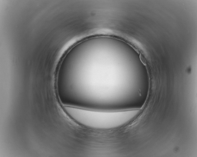 X0000092221326200709140913