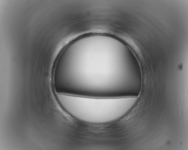 X0000092221327200709140913