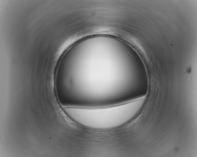 X0000092221328200709140913