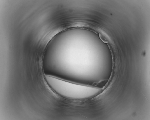 X0000092221329200709140913