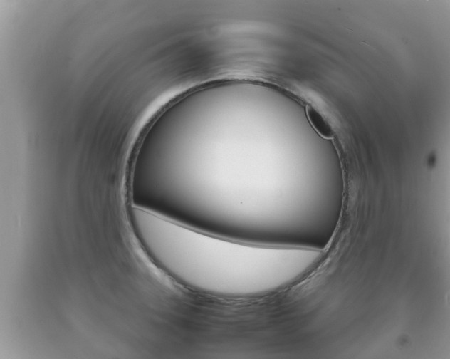 X0000092221331200709140913