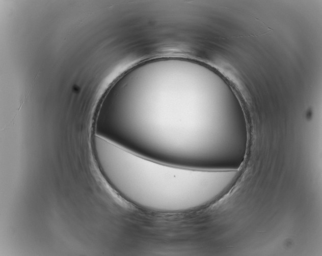 X0000092221333200709140913