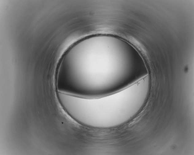 X0000092221334200709140913