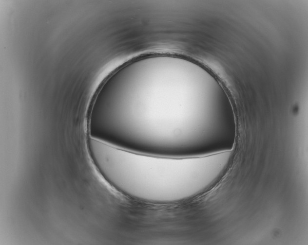 X0000092221335200709140913