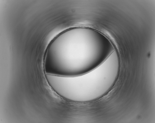 X0000092221336200709140913
