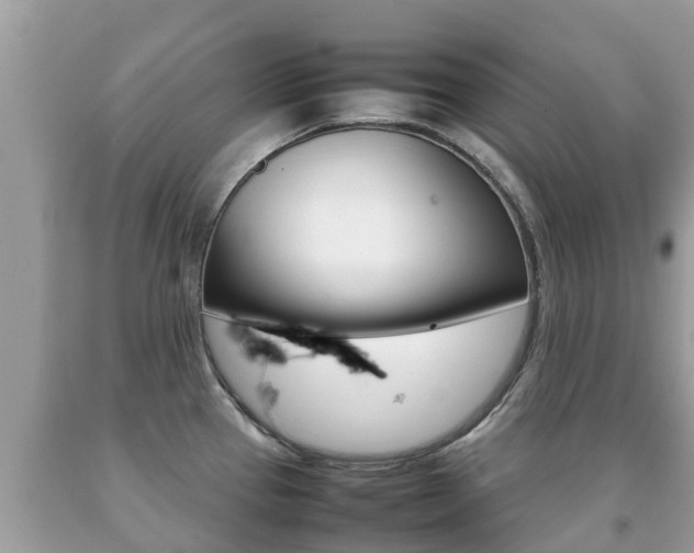 X0000092221337200709140913