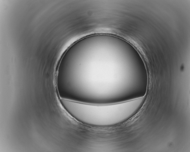 X0000092221342200709140913