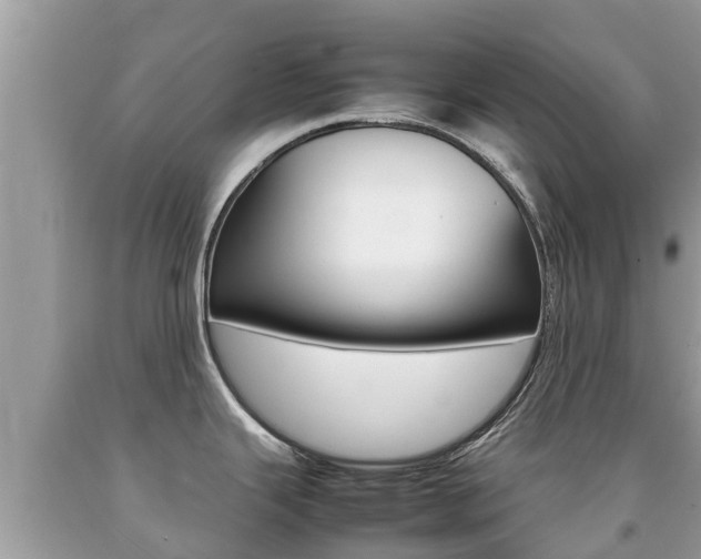 X0000092221343200709140913
