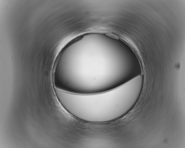 X0000092221344200709140913