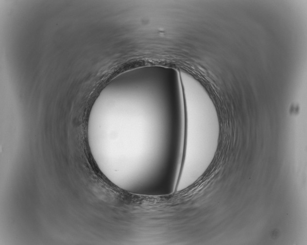 X0000092221345200709140913