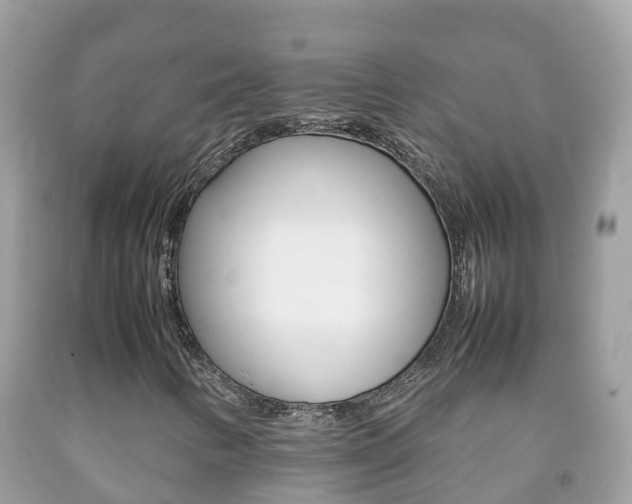 X0000092221346200709140913