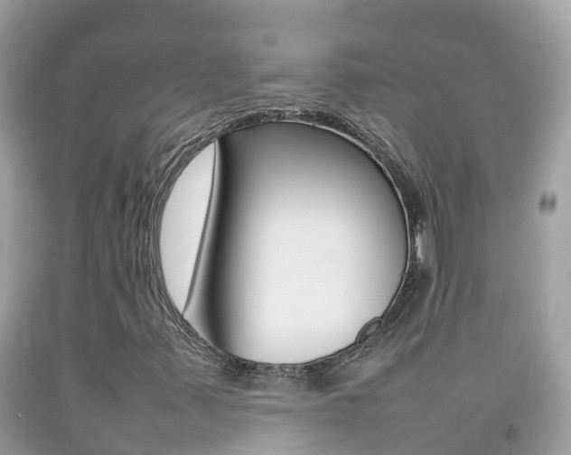 X0000092221347200709140913