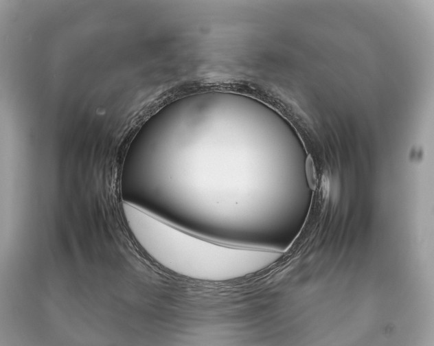 X0000092221348200709140913