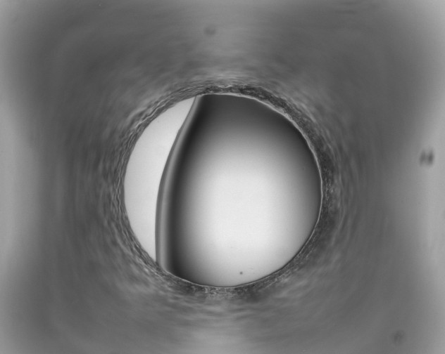 X0000092221349200709140913