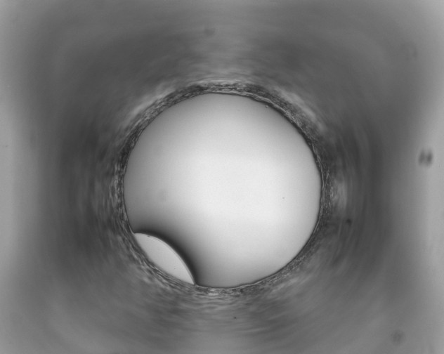 X0000092221350200709140913