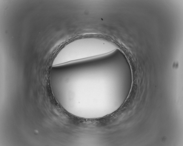 X0000092221351200709140913