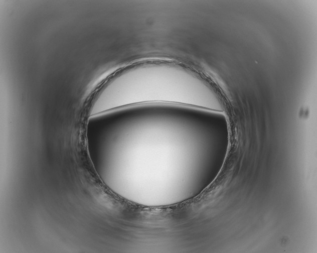 X0000092221352200709140913