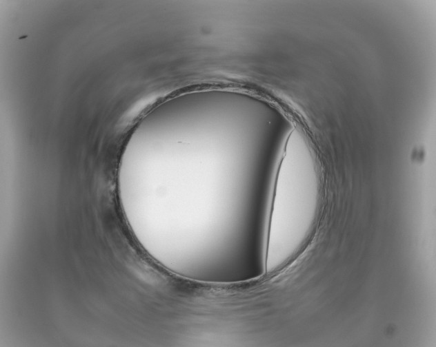 X0000092221355200709140913