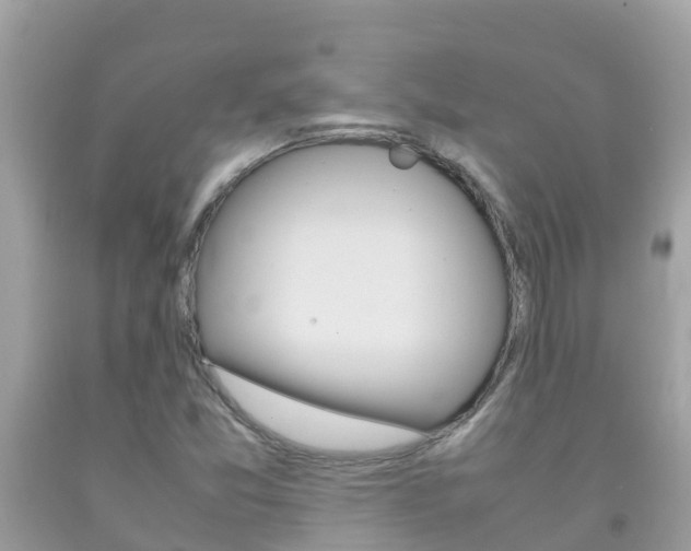 X0000092221357200709140913