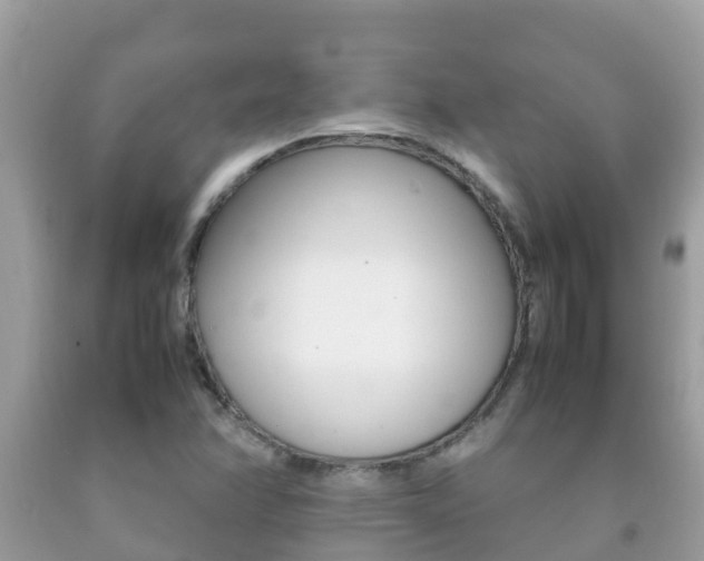 X0000092221358200709140913