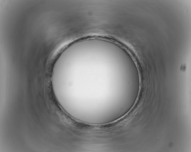 X0000092221359200709140913