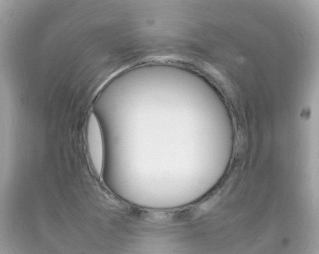 X0000092221361200709140913