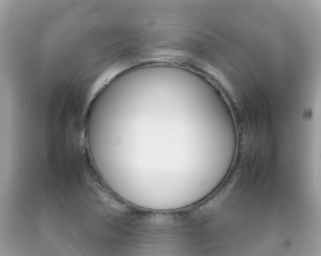 X0000092221362200709140913