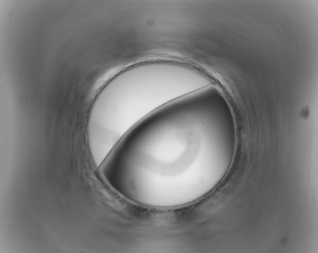 X0000092221363200709140913