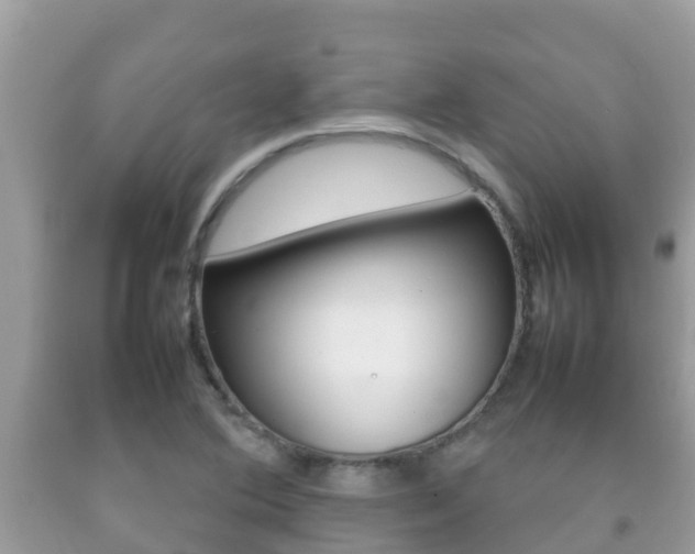 X0000092221364200709140913