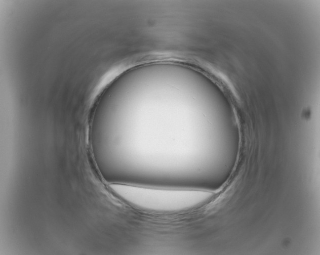 X0000092221365200709140913