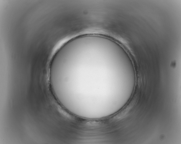 X0000092221366200709140913
