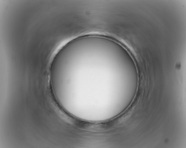 X0000092221367200709140913