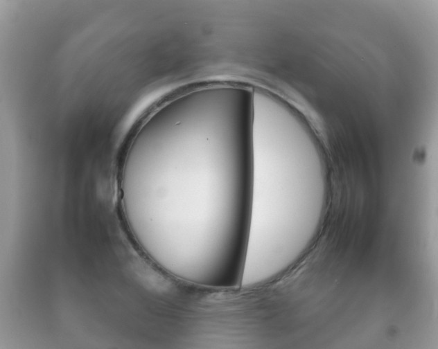 X0000092221368200709140913