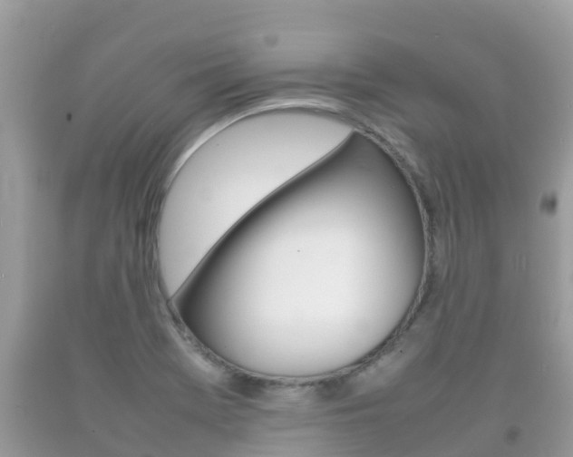X0000092221369200709140913