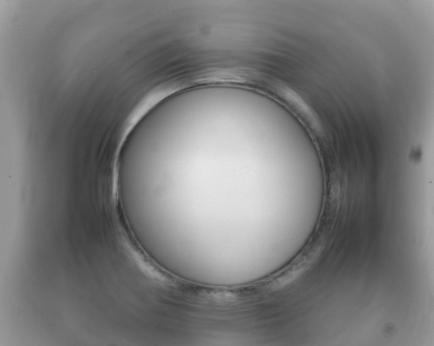 X0000092221370200709140913