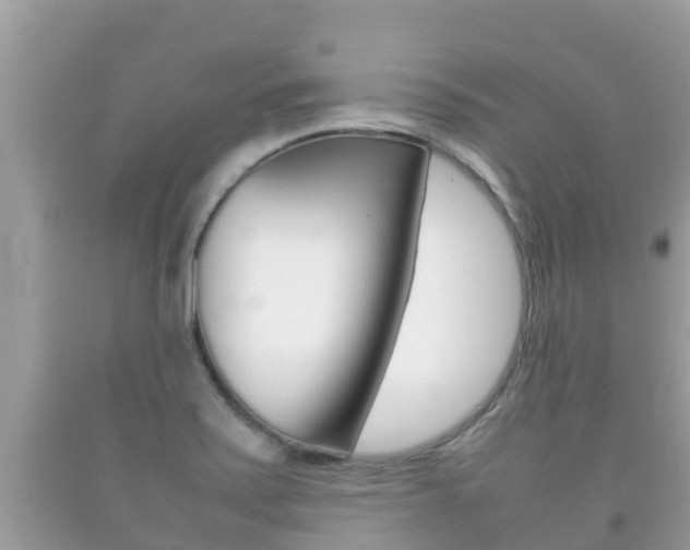 X0000092221371200709140913