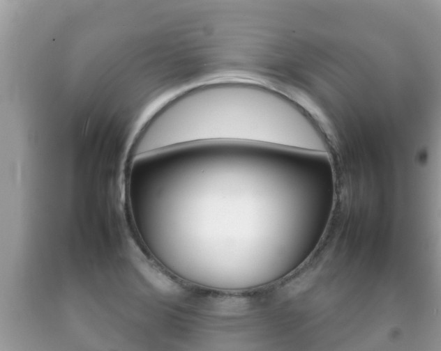 X0000092221372200709140913
