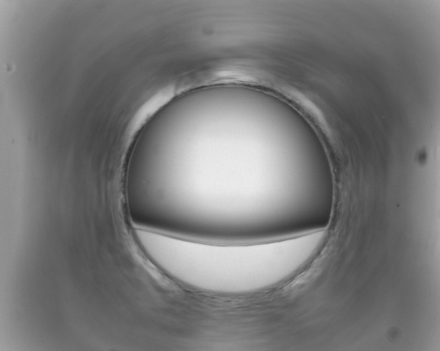 X0000092221373200709140913
