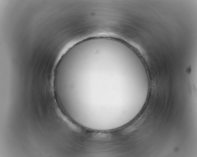 X0000092221374200709140913