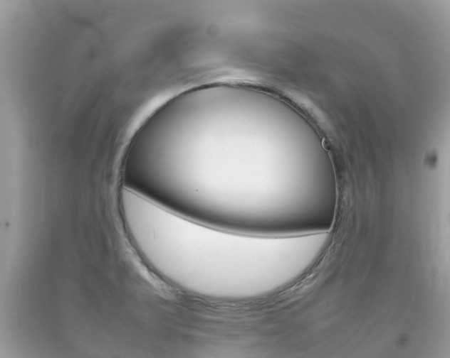 X0000092221375200709140913